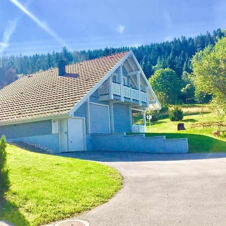 Chalet Le Flocon Bleu - Mauselaine Avec Vue Sur Le Lac De Gerardmer Luaran gambar