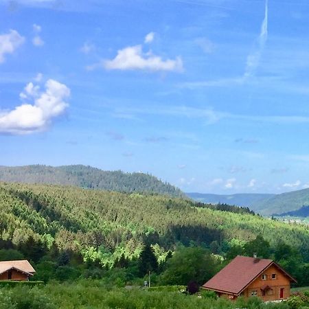 Chalet Le Flocon Bleu - Mauselaine Avec Vue Sur Le Lac De Gerardmer Luaran gambar