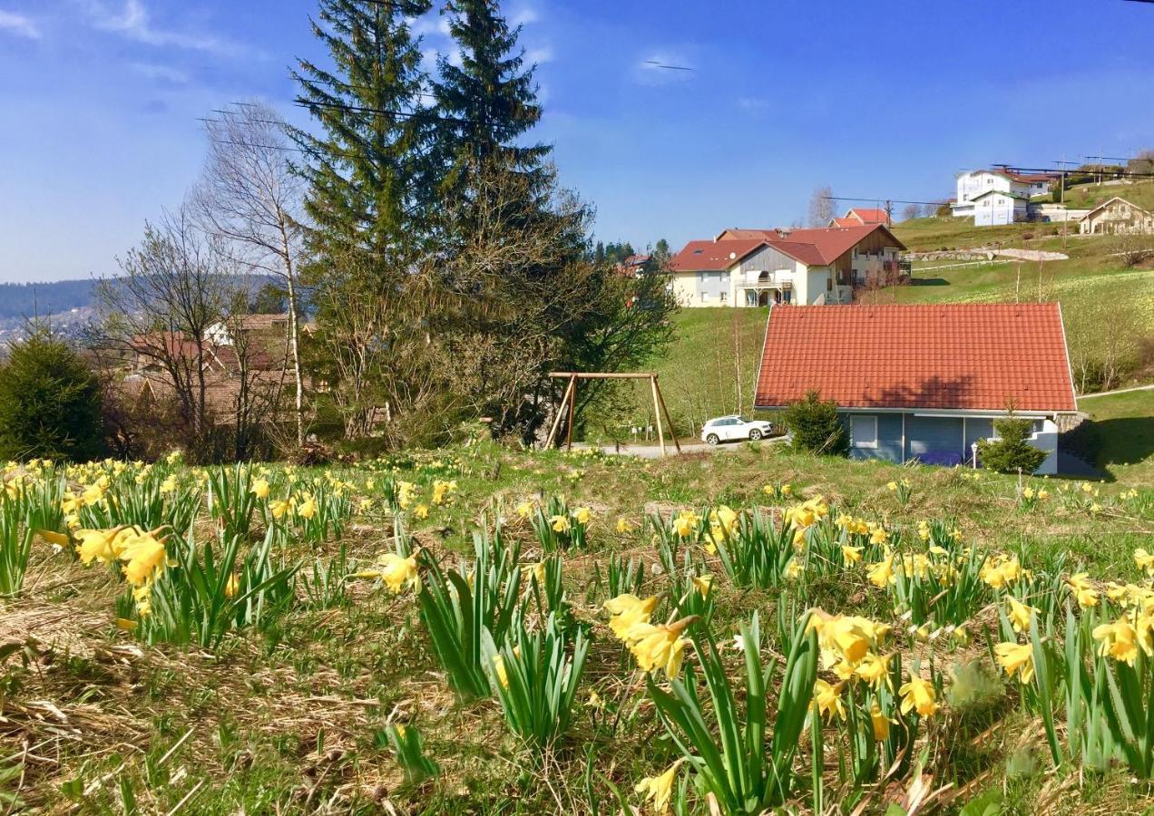 Chalet Le Flocon Bleu - Mauselaine Avec Vue Sur Le Lac De Gerardmer Luaran gambar