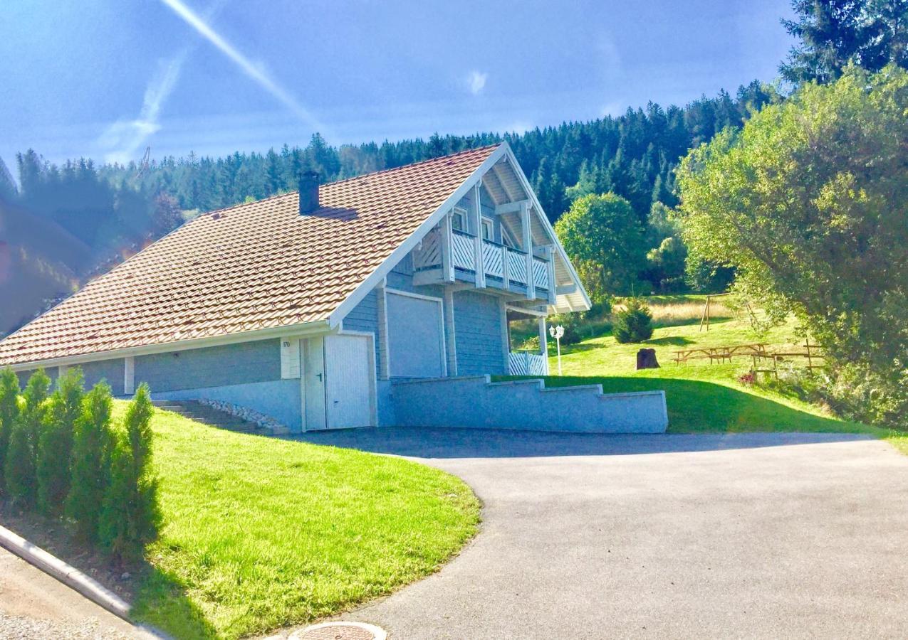 Chalet Le Flocon Bleu - Mauselaine Avec Vue Sur Le Lac De Gerardmer Luaran gambar