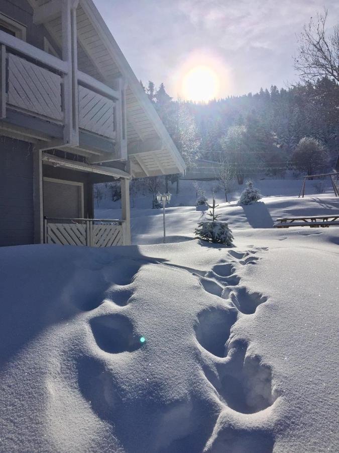 Chalet Le Flocon Bleu - Mauselaine Avec Vue Sur Le Lac De Gerardmer Luaran gambar