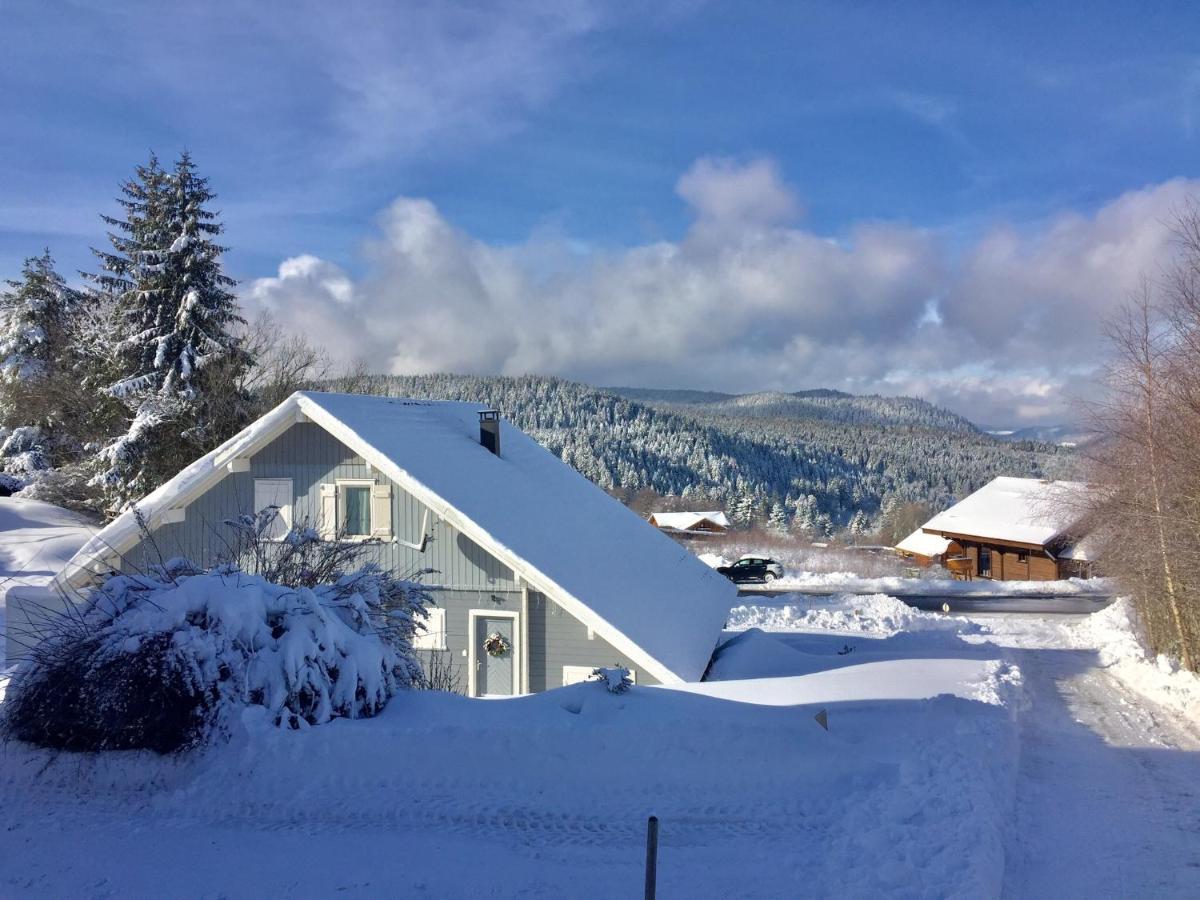 Chalet Le Flocon Bleu - Mauselaine Avec Vue Sur Le Lac De Gerardmer Luaran gambar