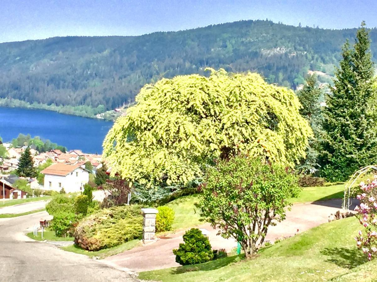Chalet Le Flocon Bleu - Mauselaine Avec Vue Sur Le Lac De Gerardmer Luaran gambar