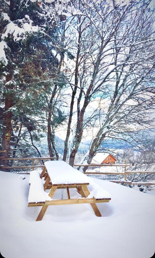 Chalet Le Flocon Bleu - Mauselaine Avec Vue Sur Le Lac De Gerardmer Luaran gambar