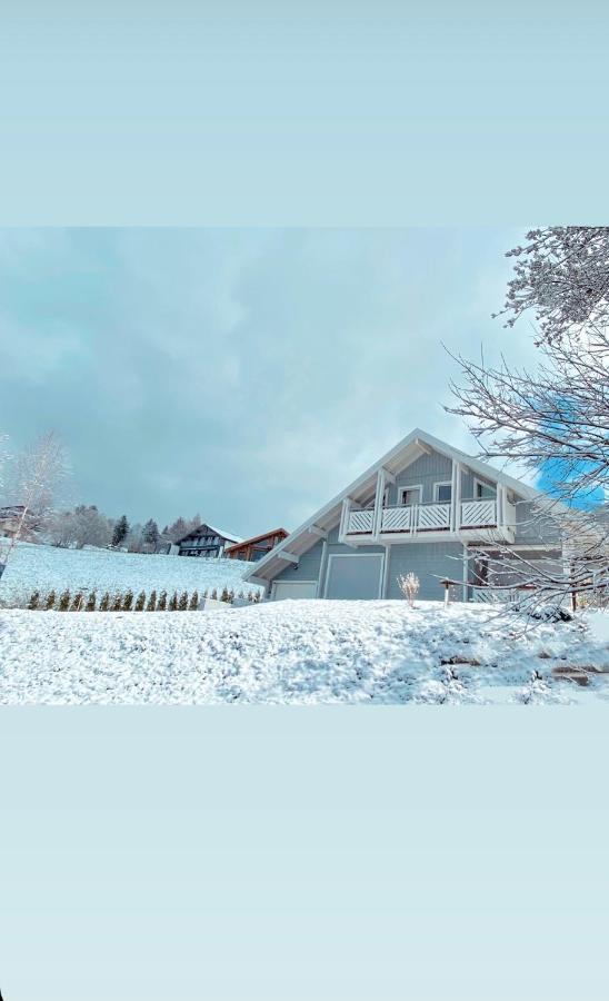 Chalet Le Flocon Bleu - Mauselaine Avec Vue Sur Le Lac De Gerardmer Luaran gambar